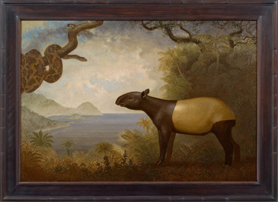 Tapir and Snake
